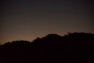 DSC_0747 (Large).JPG